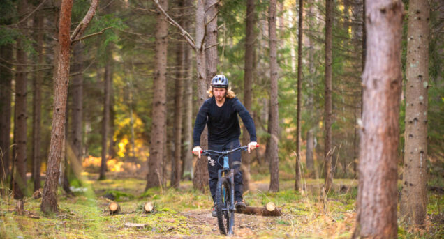 MTB-cyklist cyklar i en tall och granskog