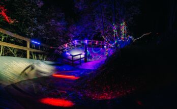 Bike Park i höstmörkret upplyst av färgglada lampor.